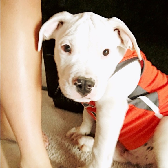 Meet your Posher, Alex - Picture 1 of 1